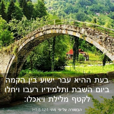 Picture 03 - הבשורה על־פי מתי 12:1 HEB - בעת ההיא עבר ישוע בין הקמה - Bible Verse Picture