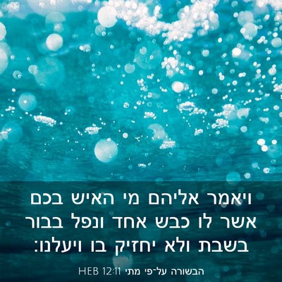 Picture 03 - הבשורה על־פי מתי 12:11 HEB - ויאמר אליהם מי האיש בכם אשר - Bible Verse Picture