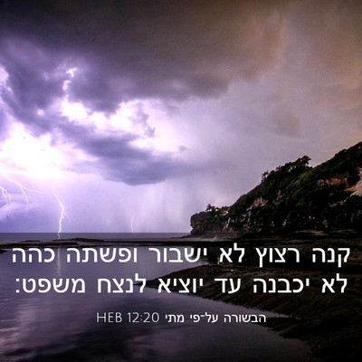 Picture 03 - הבשורה על־פי מתי 12:20 HEB - קנה רצוץ לא ישבור ופשתה כהה - Bible Verse Picture