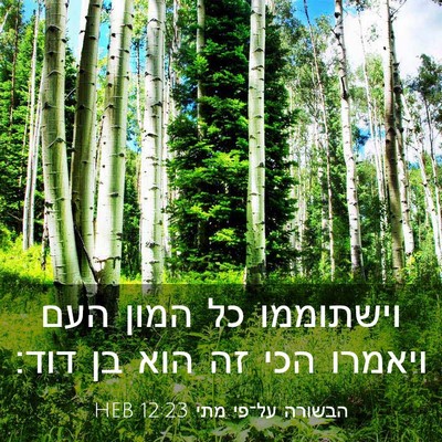 Picture 03 - הבשורה על־פי מתי 12:23 HEB - וישתוממו כל המון העם - Bible Verse Picture
