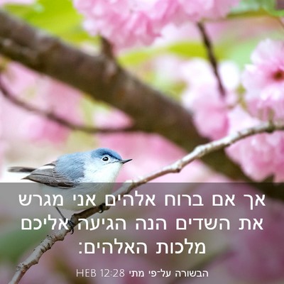 Picture 03 - הבשורה על־פי מתי 12:28 HEB - אך אם ברוח אלהים אני מגרש - Bible Verse Picture