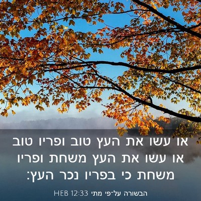Picture 03 - הבשורה על־פי מתי 12:33 HEB - או עשו את העץ טוב ופריו טוב - Bible Verse Picture