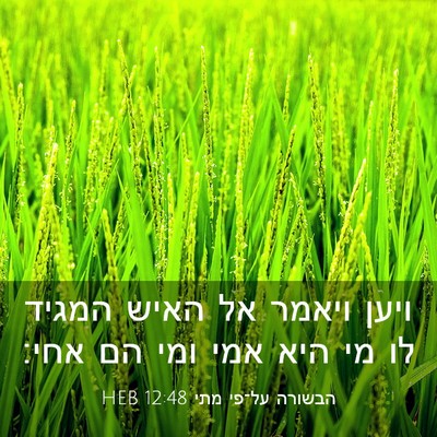 Picture 03 - הבשורה על־פי מתי 12:48 HEB - ויען ויאמר אל האיש המגיד לו - Bible Verse Picture