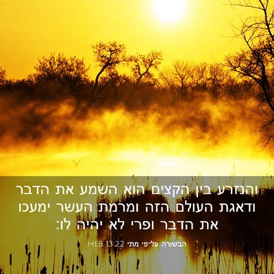 Picture 03 - הבשורה על־פי מתי 13:22 HEB - והנזרע בין הקצים הוא השמע - Bible Verse Picture