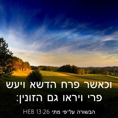 Picture 03 - הבשורה על־פי מתי 13:26 HEB - וכאשר פרח הדשא ויעש פרי - Bible Verse Picture