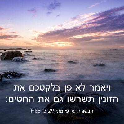Picture 03 - הבשורה על־פי מתי 13:29 HEB - ויאמר לא פן בלקטכם את - Bible Verse Picture