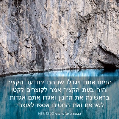 Picture 03 - הבשורה על־פי מתי 13:30 HEB - הניחו אתם ויגדלו שניהם יחד - Bible Verse Picture