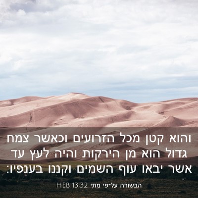 Picture 03 - הבשורה על־פי מתי 13:32 HEB - והוא קטן מכל הזרועים וכאשר - Bible Verse Picture