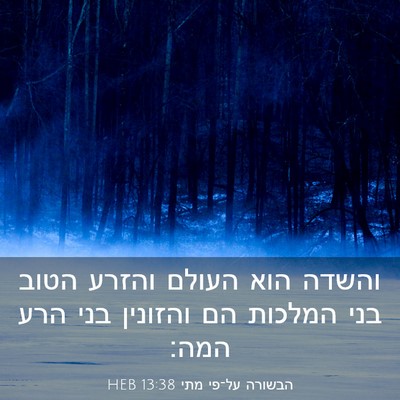 Picture 03 - הבשורה על־פי מתי 13:38 HEB - והשדה הוא העולם והזרע הטוב - Bible Verse Picture