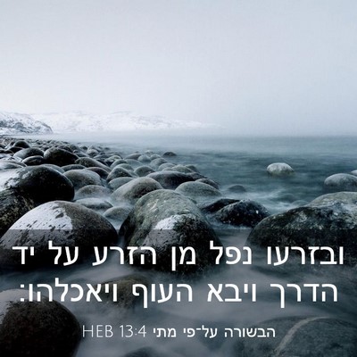 Picture 03 - הבשורה על־פי מתי 13:4 HEB - ובזרעו נפל מן הזרע על יד - Bible Verse Picture