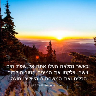 Picture 03 - הבשורה על־פי מתי 13:48 HEB - וכאשר נמלאה העלו אתה אל שפת - Bible Verse Picture