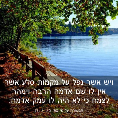 Picture 03 - הבשורה על־פי מתי 13:5 HEB - ויש אשר נפל על מקמות סלע - Bible Verse Picture