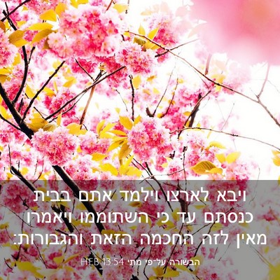 Picture 03 - הבשורה על־פי מתי 13:54 HEB - ויבא לארצו וילמד אתם בבית - Bible Verse Picture