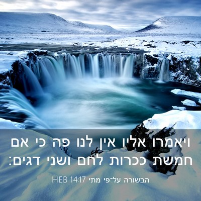 Picture 03 - הבשורה על־פי מתי 14:17 HEB - ויאמרו אליו אין לנו פה כי - Bible Verse Picture