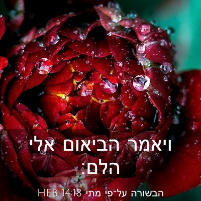 Picture 03 - הבשורה על־פי מתי 14:18 HEB - ויאמר הביאום אלי - Bible Verse Picture