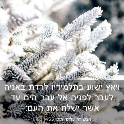 Picture 03 - הבשורה על־פי מתי 14:22 HEB - ויאץ ישוע בתלמידיו לרדת - Bible Verse Picture