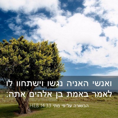 Picture 03 - הבשורה על־פי מתי 14:33 HEB - ואנשי האניה נגשו וישתחוו - Bible Verse Picture
