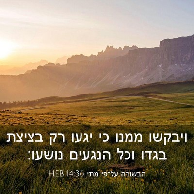 Picture 03 - הבשורה על־פי מתי 14:36 HEB - ויבקשו ממנו כי יגעו רק - Bible Verse Picture