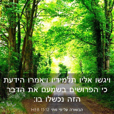 Picture 03 - הבשורה על־פי מתי 15:12 HEB - ויגשו אליו תלמידיו ויאמרו - Bible Verse Picture