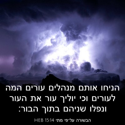 Picture 03 - הבשורה על־פי מתי 15:14 HEB - הניחו אותם מנהלים עורים - Bible Verse Picture