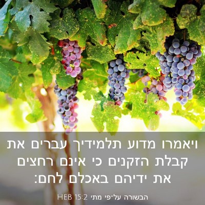 Picture 03 - הבשורה על־פי מתי 15:2 HEB - ויאמרו מדוע תלמידיך עברים - Bible Verse Picture