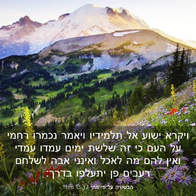 Picture 03 - הבשורה על־פי מתי 15:32 HEB - ויקרא ישוע אל תלמידיו - Bible Verse Picture