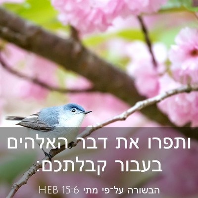 Picture 03 - הבשורה על־פי מתי 15:6 HEB - ותפרו את דבר האלהים בעבור - Bible Verse Picture