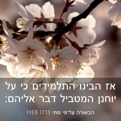 Picture 03 - הבשורה על־פי מתי 17:13 HEB - אז הבינו התלמידים כי על - Bible Verse Picture