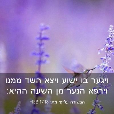 Picture 03 - הבשורה על־פי מתי 17:18 HEB - ויגער בו ישוע ויצא השד ממנו - Bible Verse Picture
