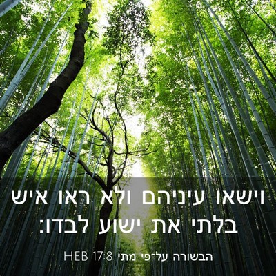 Picture 03 - הבשורה על־פי מתי 17:8 HEB - וישאו עיניהם ולא ראו איש - Bible Verse Picture
