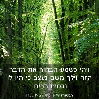 Picture 03 - הבשורה על־פי מתי 19:22 HEB - ויהי כשמע הבחור את הדבר הזה - Bible Verse Picture