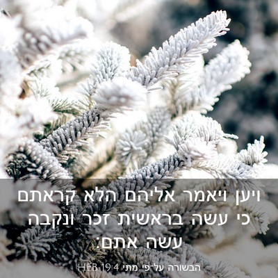 Picture 03 - הבשורה על־פי מתי 19:4 HEB - ויען ויאמר אליהם הלא קראתם - Bible Verse Picture