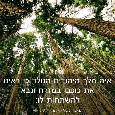 Picture 03 - הבשורה על־פי מתי 2:2 HEB - איה מלך היהודים הנולד כי - Bible Verse Picture