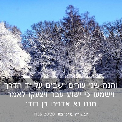 Picture 03 - הבשורה על־פי מתי 20:30 HEB - והנה שני עורים ישבים על יד - Bible Verse Picture
