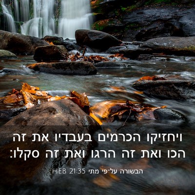 Picture 03 - הבשורה על־פי מתי 21:35 HEB - ויחזיקו הכרמים בעבדיו את - Bible Verse Picture
