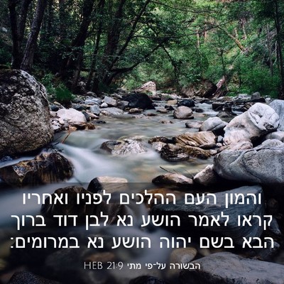 Picture 03 - הבשורה על־פי מתי 21:9 HEB - והמון העם ההלכים לפניו - Bible Verse Picture
