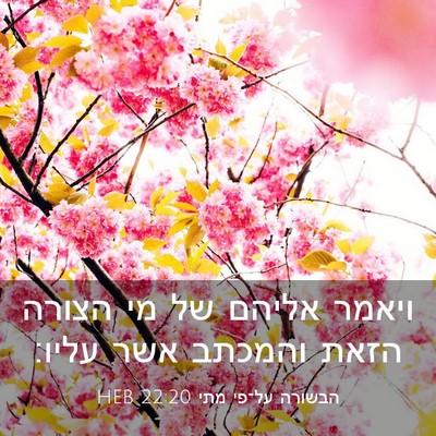 Picture 03 - הבשורה על־פי מתי 22:20 HEB - ויאמר אליהם של מי הצורה - Bible Verse Picture