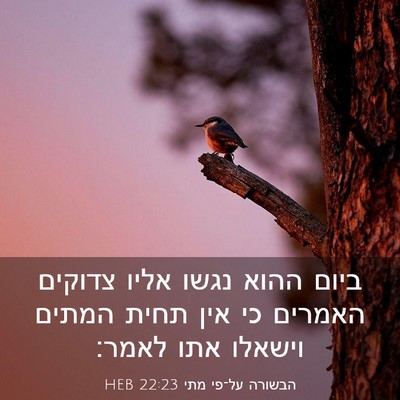 Picture 03 - הבשורה על־פי מתי 22:23 HEB - ביום ההוא נגשו אליו צדוקים - Bible Verse Picture