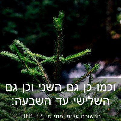Picture 03 - הבשורה על־פי מתי 22:26 HEB - וכמו כן גם השני וכן גם - Bible Verse Picture