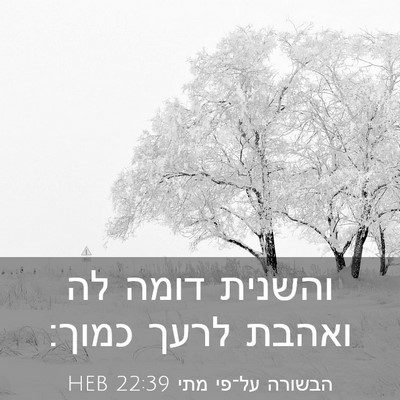 Picture 03 - הבשורה על־פי מתי 22:39 HEB - והשנית דומה לה ואהבת לרעך - Bible Verse Picture