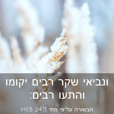 Picture 03 - הבשורה על־פי מתי 24:11 HEB - ונביאי שקר רבים יקומו - Bible Verse Picture