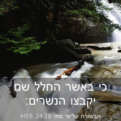 Picture 03 - הבשורה על־פי מתי 24:28 HEB - כי באשר החלל שם יקבצו - Bible Verse Picture