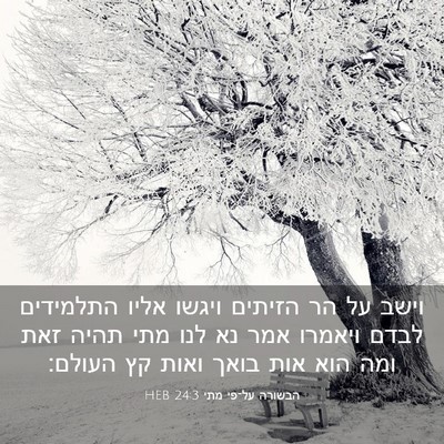Picture 03 - הבשורה על־פי מתי 24:3 HEB - וישב על הר הזיתים ויגשו - Bible Verse Picture