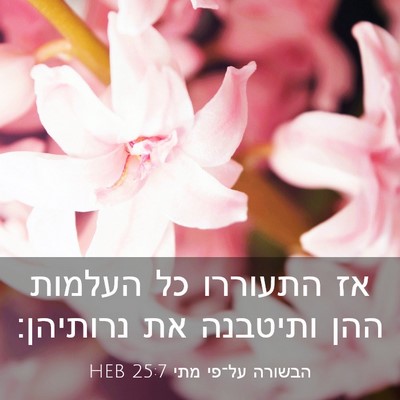 Picture 03 - הבשורה על־פי מתי 25:7 HEB - אז התעוררו כל העלמות ההן - Bible Verse Picture