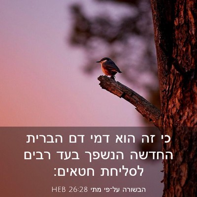Picture 03 - הבשורה על־פי מתי 26:28 HEB - כי זה הוא דמי דם הברית - Bible Verse Picture