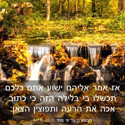 Picture 03 - הבשורה על־פי מתי 26:31 HEB - אז אמר אליהם ישוע אתם כלכם - Bible Verse Picture