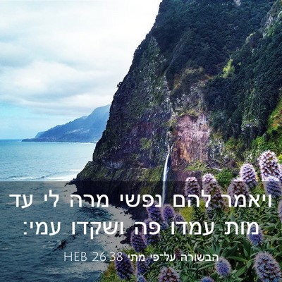 Picture 03 - הבשורה על־פי מתי 26:38 HEB - ויאמר להם נפשי מרה לי עד - Bible Verse Picture