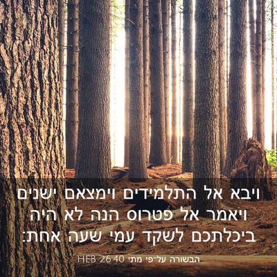 Picture 03 - הבשורה על־פי מתי 26:40 HEB - ויבא אל התלמידים וימצאם - Bible Verse Picture