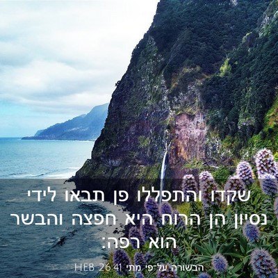 Picture 03 - הבשורה על־פי מתי 26:41 HEB - שקדו והתפללו פן תבאו לידי - Bible Verse Picture