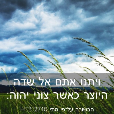 Picture 03 - הבשורה על־פי מתי 27:10 HEB - ויתנו אתם אל שדה היוצר כאשר - Bible Verse Picture